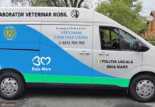 Un nou plan pentru câinii fără stăpân din Baia Mare