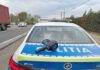 În Baia Mare, autospecială de poliție, implicată într-un accident