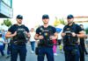 Amenzi de aproape 6.000 de lei și intervenții după sesizări privind urșii