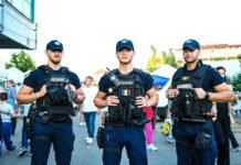 Amenzi de aproape 6.000 de lei și intervenții după sesizări privind urșii