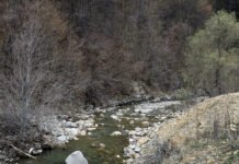 Donație pentru potabilizarea apei la Dragomirești