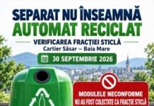 Probleme cu deșeurile de sticlă în cartierul Săsar